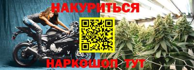 эйфоретик Моздок